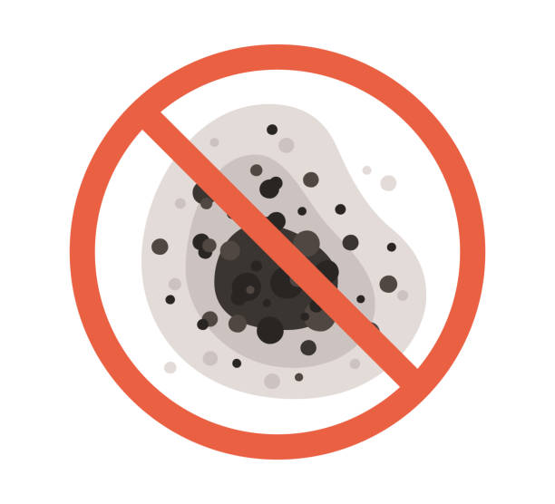 Environmental Consulting for Mold Prevention in Pioneer, CA