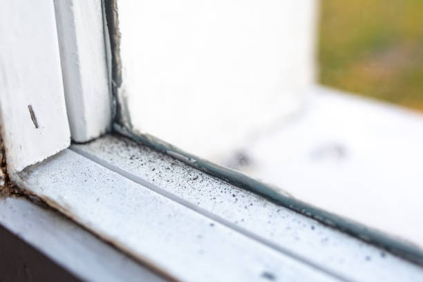 Best Air Quality Testing for Mold Spores  in Pioneer, CA